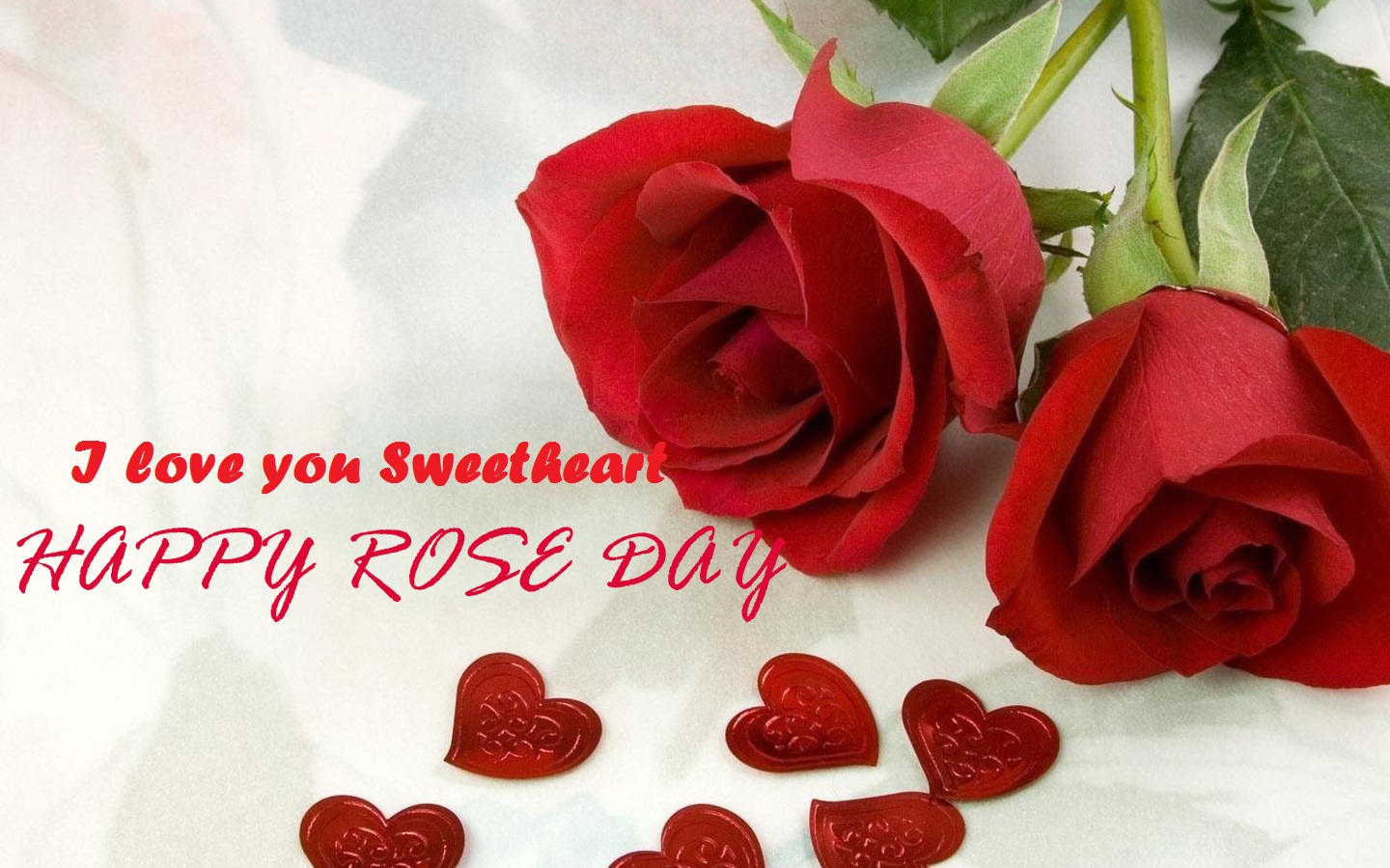 HD Wallpaper of Rose Day 2017 Latest Images of Rose for Gf lovers Rose